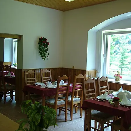 Pensjonat Borovica *