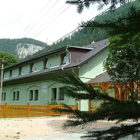 Pensjonat Borovica *