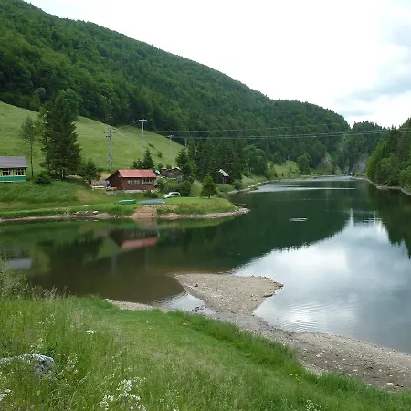 Borovica *