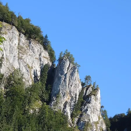 Pensjonat Borovica *
