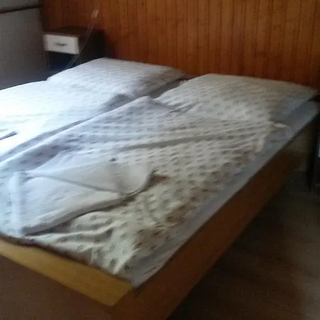 Borovica Pensjonat *