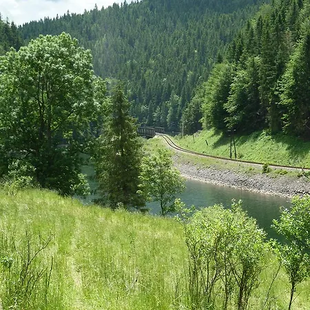 Pensjonat Borovica *