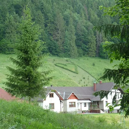Borovica *