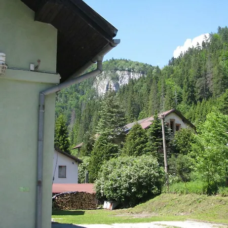 Borovica Pensjonat *